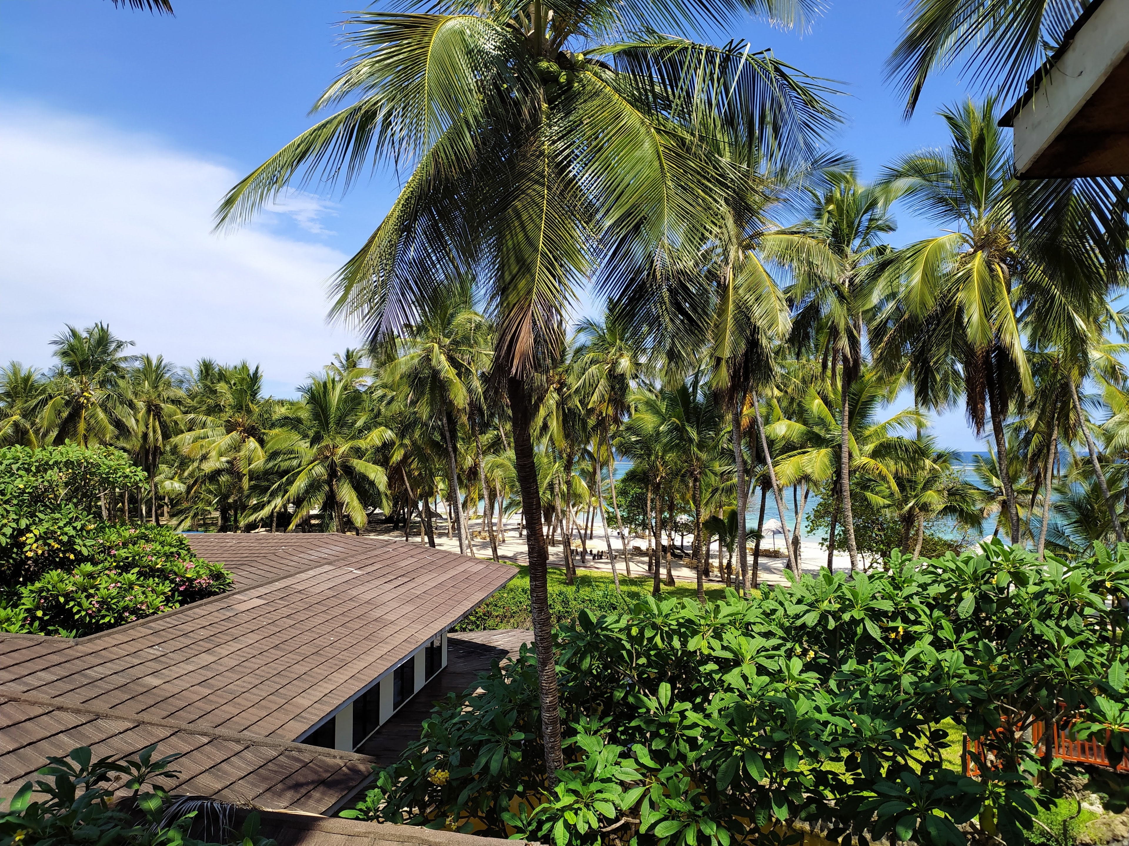 Palm canopy over the beach decking at Diani