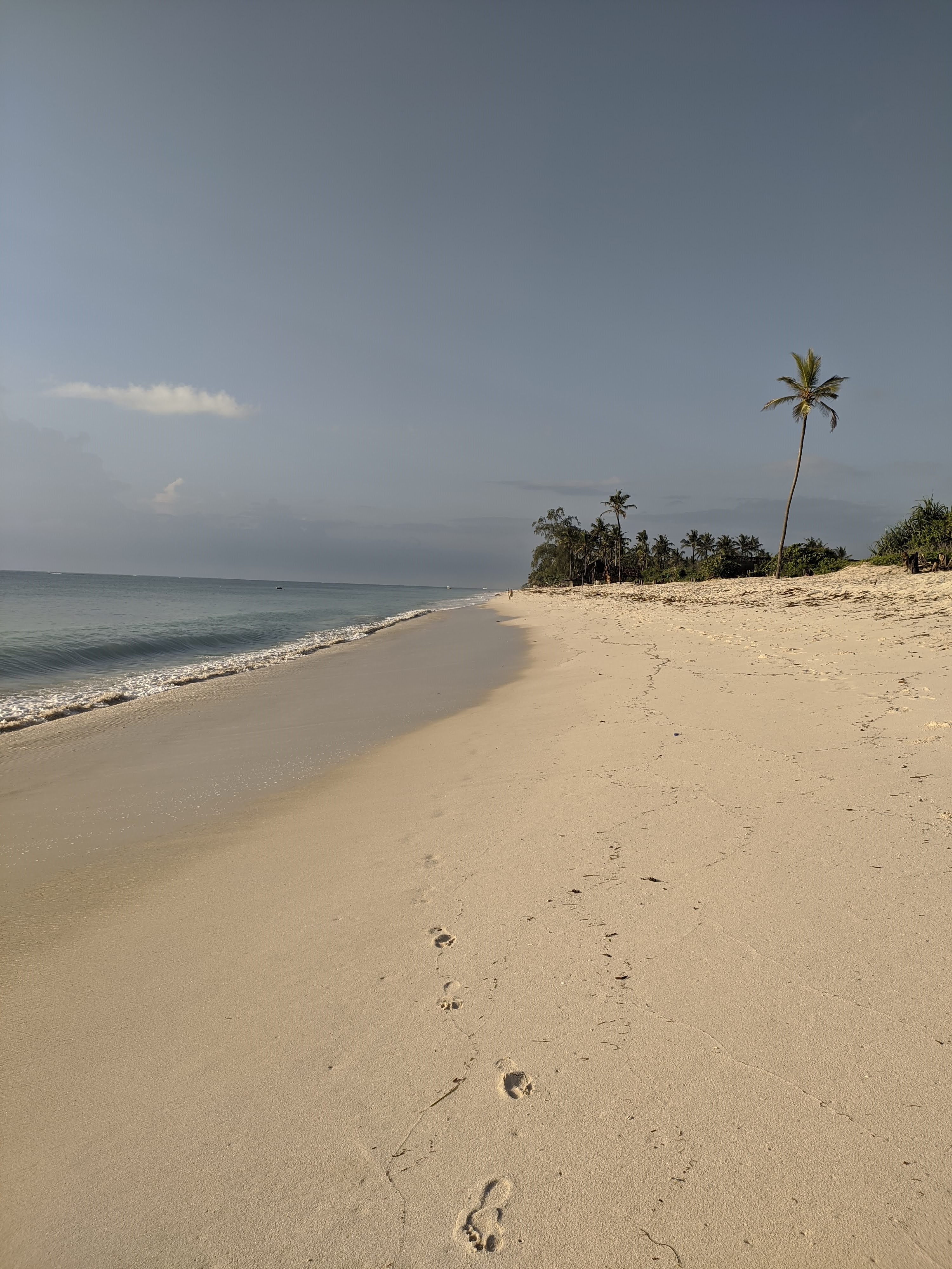 Footprints leading along the empty shoreline at Diani Beach
