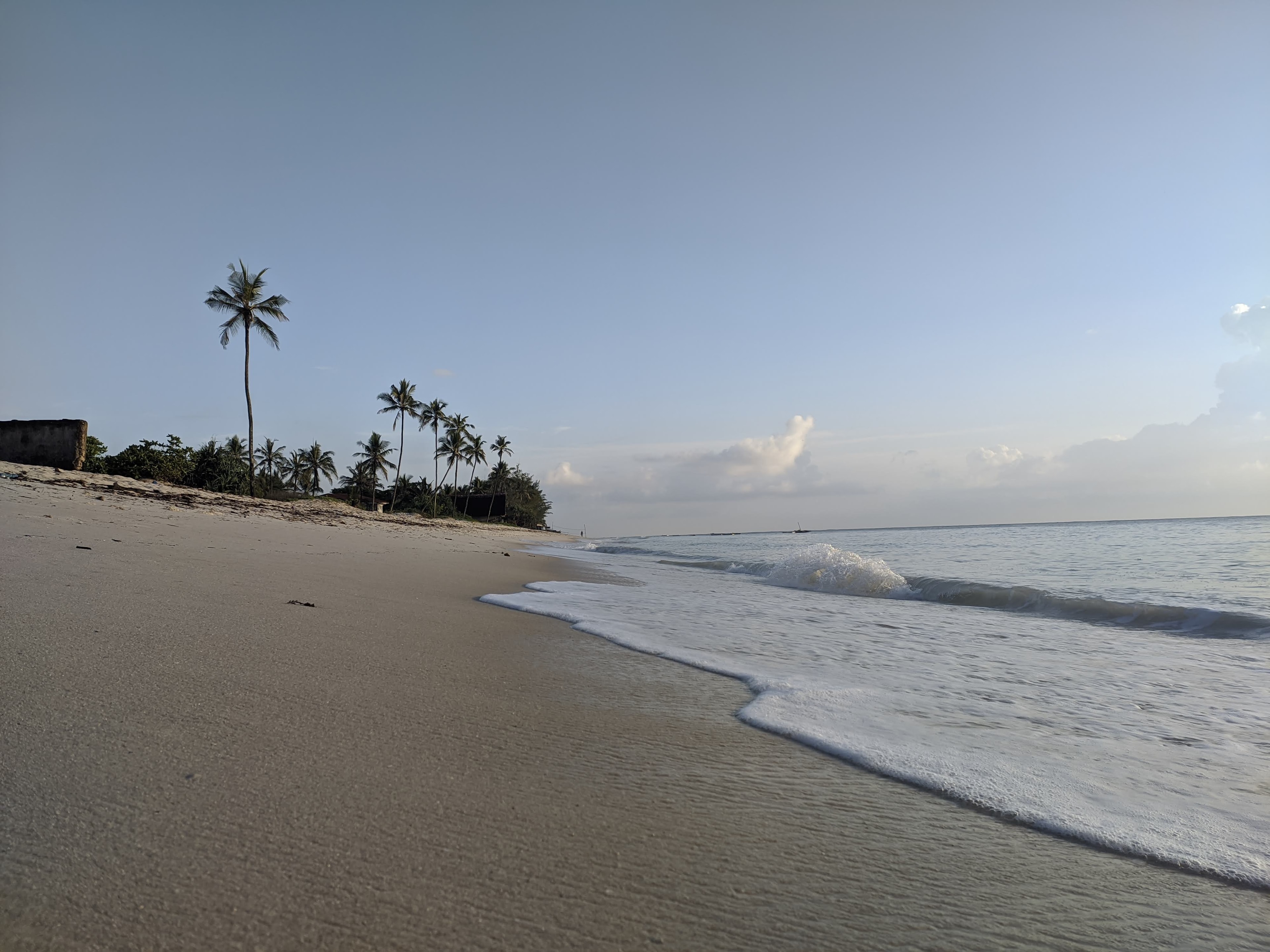 A wave breaking on white coral sand beneath palms