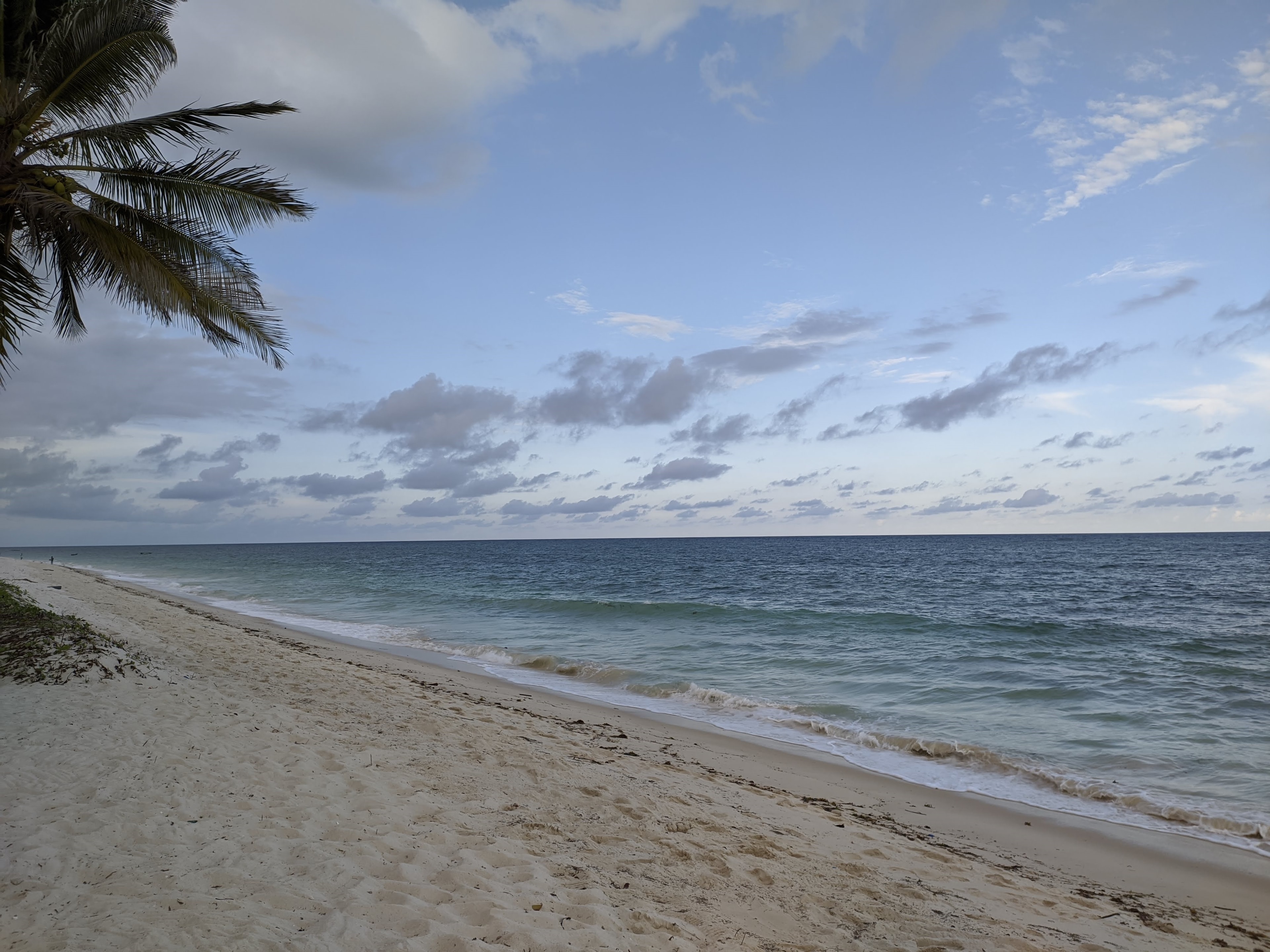 The Indian Ocean shoreline at Diani Beach, Kenya